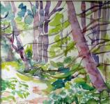 Schiermonnikoog in het bos: landscape by Philomene de Later