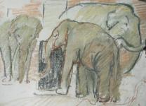 Pasteltekening  met olifanten in artis