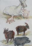 Pasteltekening Kinderboerderij