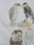 Pasteltekening Artis